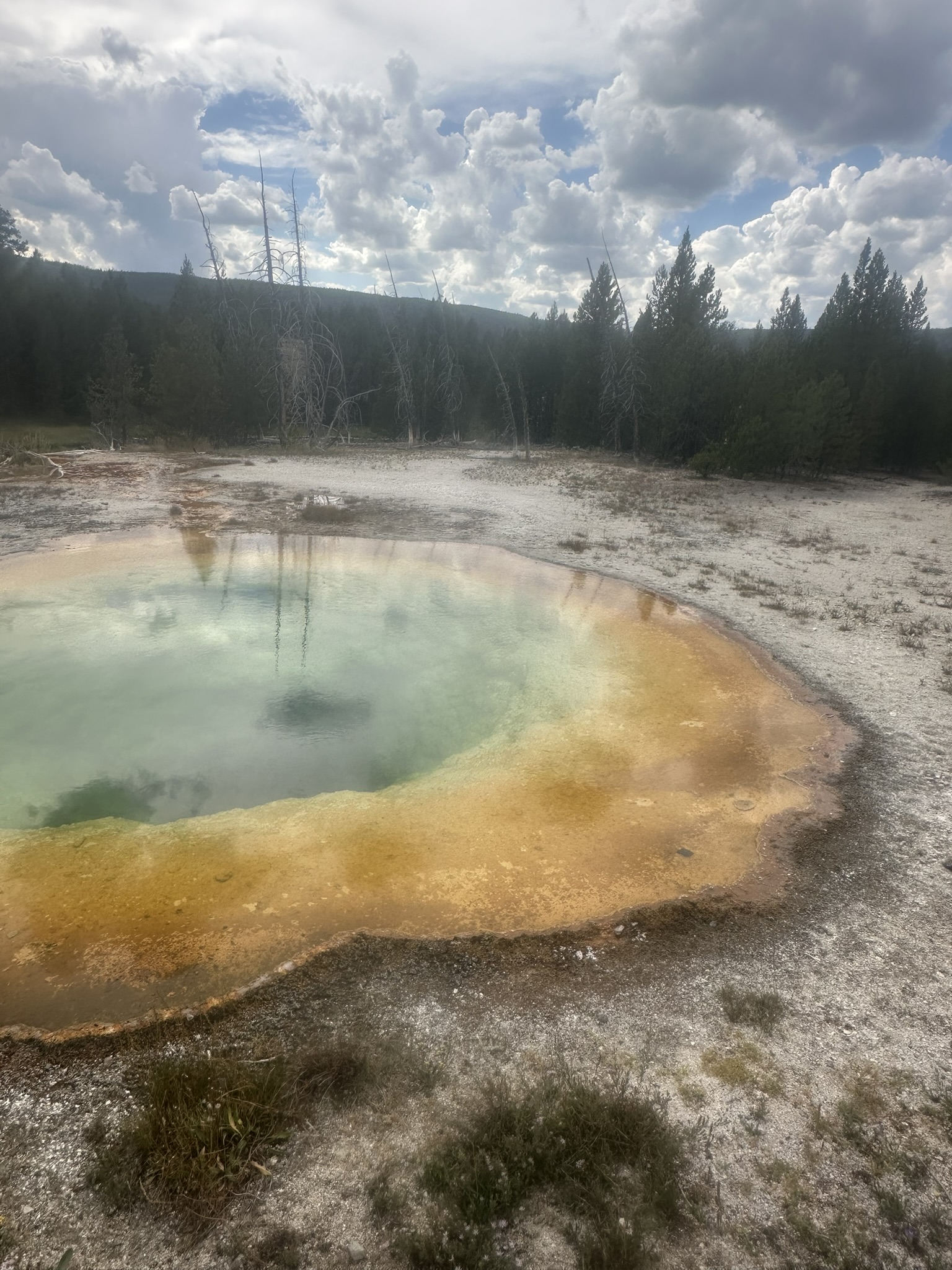 Yellowstone And Grand Teton National Parks - Image 95